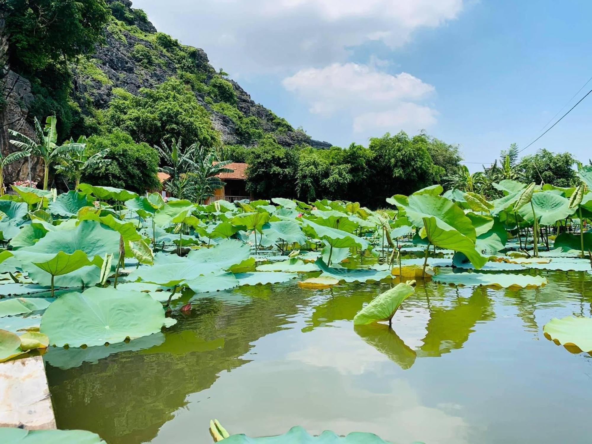 Lake Retreat Νιν Μπιν Εξωτερικό φωτογραφία